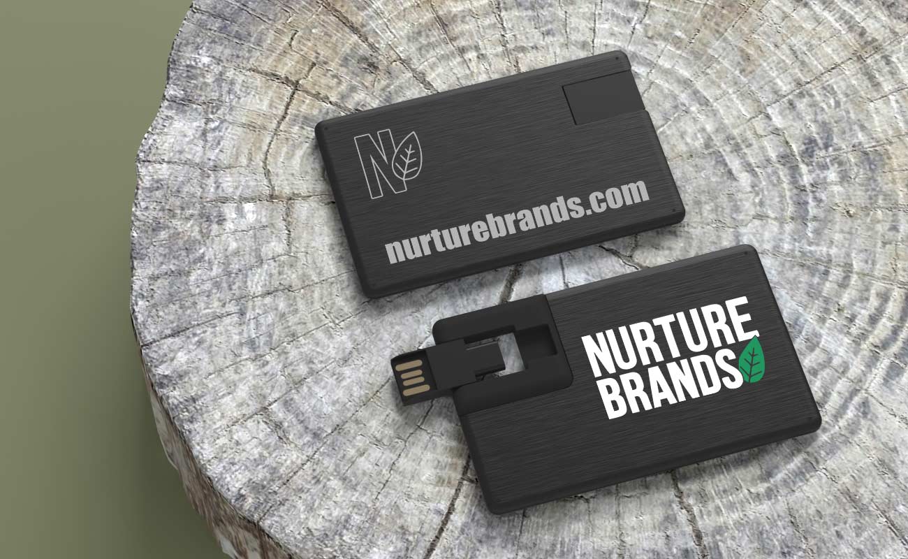 Alloy Duo - Pen Drive Credit Card gallery thumbnail