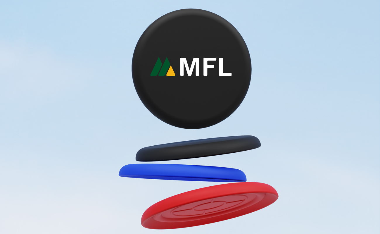 Hawk - Dischi volanti personalizzati gallery thumbnail