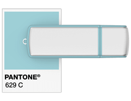 Referenze Pantone ® Chiavetta USB