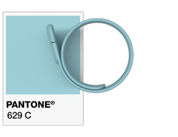 Referenze Pantone ® Braccialetto USB